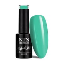 Ilgalaikis gelinis nagų lakas NTN Premium UV/LED, 163, 5 g
