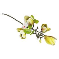 Dirbtinė MAGNOLIJA 68cm Balta