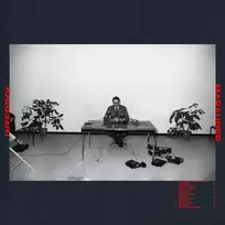 Interpol - Marauder (vinilinė plokštelė, LP)