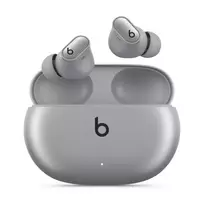 Ausinės Beats Studio Buds + Cosmic Silver