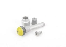 BMW SCREW-IN VALVE RDC 3' E46 5' E60 Originalus 36146792831
