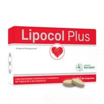 LIPOCOL PLUS maisto papildas CHOLESTEROLIUI, 30 tab.