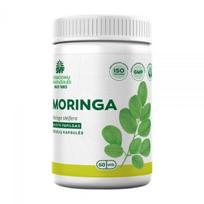 ŠVENČIONIŲ VAISTAŽOLĖS maisto papildas MORINGA, 60 kaps.