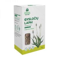 ŠVENČIONIŲ VAISTAŽOLĖS žolelių arbata GYSLOČIŲ LAPAI, 50 g