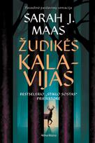 El. knyga Žudikės kalavijas. Serijos „Stiklo sostas“ priešistorė - Sarah J. Maas