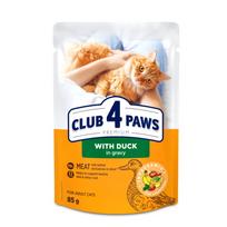 CLUB 4 PAWS Duck - konservai katėms su antiena, padaže 85g x 24vnt.