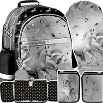 Mokyklinis rinkinys Arklys 3 dalys – Paso