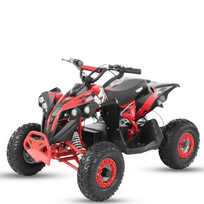 Elektrinis keturratis Mankius H Avenger 1200W,48V(3-8m)