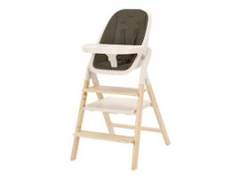 Carrello Ergo maitinimo kėdutė 2in1 Pine Green