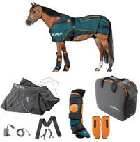 BEMER Horse set