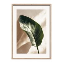 Spausdintas paveikslas su rėmeliu 50x70 cm Strelizia Leaf – Styler
