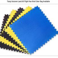 Professional 1m Taekwondo Home Gym Foam Floor Mat for Martial Arts 5cm x 5cm Sample