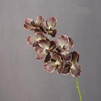 80 CM Dirbtinė Vanda Orchidėja Plastikinės Drėkinančios Realiai Liečiami Orchidėjų Gėlių Kompozicijos Realistiškas Imitacinis Gėlė