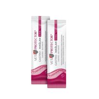 VET PROTECTOR® GASTRO – MAŚLAN ONE – preparatas, palaikantis šunų ir kačių virškinimo trakto funkcionavimą, 3 ml