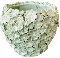 RITUALI DOMESTICI FIORINFIORELLO Vazono dangtelis L baltas