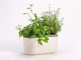 URBALIVE TOLITA stačiakampis savaiminio laistymo vazonas 31 x 16 cm, smėlio spalvos