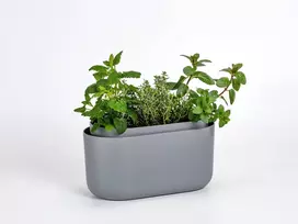 URBALIVE TOLITA stačiakampis savaiminio laistymo vazonas, 31 x 16 cm, pilkas