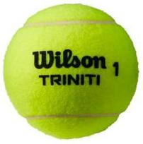 Teniso kamuoliukas Wilson Triniti Club WR8201501001, geltona sp.