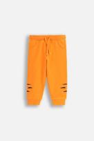 COCCODRILLO kelnės TROPICAL STORY BOY NEWBORN, oranžinės, WC5120101TBN-006-086, 86 cm