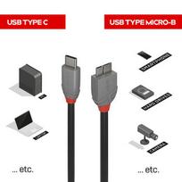 USB Kabelis - LINDY 2m USB 3.2 Type C į Micro-B 5Gbps Anthra Line