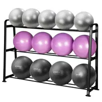 SET OF 13 GYM BALLS YB02 + STR43 RACK HMS