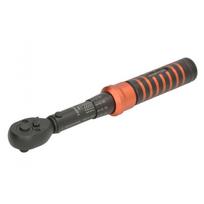 Dinamometrinis raktas PROFITOOL 0X534N116