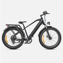 Electric bicycle ENGWE E26, Black
