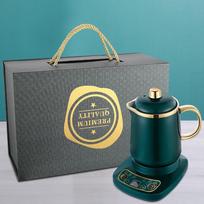 Ceramic Electric Mini Stew Cup & Wellness Kettle