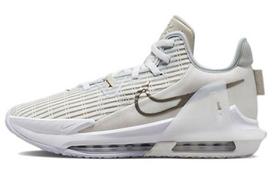 Nike Lebron Witness 6 EP  White Metallic Pewter  DC8994-102 44