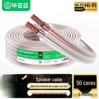 BIAZE Audiophile Pure Copper Audio Speaker Cable