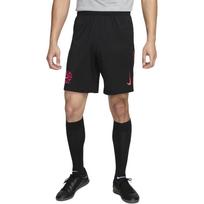 Nike Chelsea FCDri Fit FW24 Stadium Third Replica Soccer Bottom Men's Black FQ2056-010 2XL