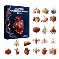 Anatomy Advent Calendar 24 Days Body Parts Countdown Calendar Gift Box with 24 Miniature Organ Acrylic Hanging Ornament Doctors A