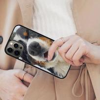 Berno Šunų Magnetinis Telefono Dėklas APPLE iPhone 17 Air 16 14 13 12 Pro Max 15 Plus Belaidžiam Įkrovimui Su MagSafe Dangteliu iPhone 13mini