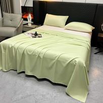 Vasaros vėsūs ledo šilko paklodės Vienas vienetas Vienkartinis pirkinys Studentų bendrabutis Vienvietis ir dvigulis Vienspalvis pledas Lengvo prabangos lovos užtiesalas 160*220CM/1Pc obuolių žalios spalvos