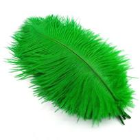 10vnt. Spalvingi stručio plunksnų rankdarbiams, papuošalų gamybai, vestuvių šventei, plunksnos, rankų darbas, karnavalo aksesuarai 20-25cm 10pcs