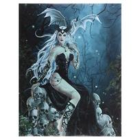 5D „pasidaryk pats“ deimantinis dažymas kryželiu „Fairy Skull Round Drill“ siuvinėjimas 20X30CM
