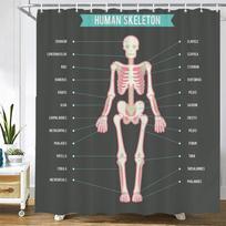 Medicine Human Body Structure Chart Pattern Bath Shower Curtain Waterproof Decoration Shower Curtains With Hooks Bathroom Screen W60H190(CM)-1 Pcs
