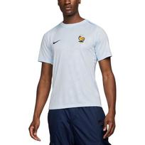 Nike Fff Academy Pro Išvykos vyriškas Nike Dri-FIT futbolo prieš rungtynes marškinėlis FV6940-415 L