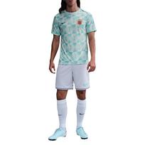 Nike Dri Fit Norvegijos Akademijos Pro Futbolo Marškinėliai Vyriški FZ9713-474 L