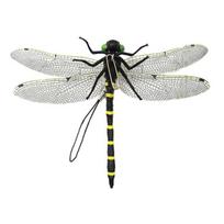 1/5/10 vnt. netikros laumžirgės dekoracija, atspari oro sąlygoms, atbaidanti muses, imituojantis laumžirgės modelis, vidaus, lauko sodas, 3D laumžirgės ornamentas A