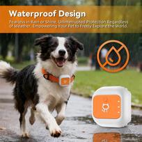 Išmanus GPS augintinio antkaklis su pasauliniu sekimu, WiFi, apsauga nuo pametimo ir vagysčių funkcijomis Locator S (cats <8KG, 25-32CM) EU/Asia Version