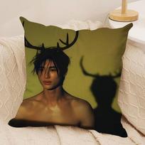 B-Byeon Woo-seok  Cushion Cover Silky Short Plush Sofa Pillow Cover Hidden Zipper Soft Dustproof Case for Home Decor 30cmx30cm