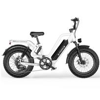 G-FORCE RS ST Suaugusiųjų elektrinis dviratis 750W variklis 48V25AH baterija 20 colių ratai Visureigis E-dviratis kalnams, paplūdimiui, sniegui, miesto kelionėms balta