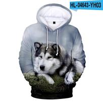 Animal Dog Hasky 3D Print Oversized Moterų / Vyrų megztinis Megztinis Streetwear Hip Hop Megztinis Striukė su gobtuvu Vyriška laisvalaikio sportinė apranga 4XL