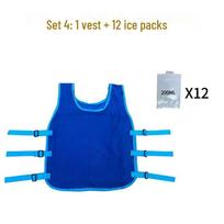 Vyriška vėsinanti ledo pakuočių liemenė lauko darbams ir karščio smūgio prevencijai One Size Adjustable