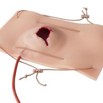 A72U Didelės žaizdos nuo ginklo modelis, Mokomasis modelis, Hemostazės valdymo mokymai, Traumos simuliacijos mokymai