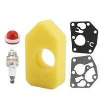 Oro filtras, uždegimo žvakė, tarpiklių komplektas Briggs & Stratton 795083 698369 694394