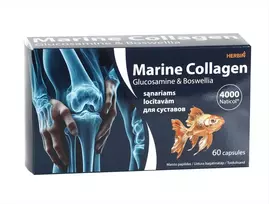 Symbiofarm Jūrinis kolagenas Naticol 4000® Herbin su gliukozamino sulfatu ir bosvelija, 60 kapsulių