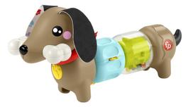 Lavinimo žaislas, šuo Mattel Fisher Price Click & Spin Activity Pup, įvairių spalvų