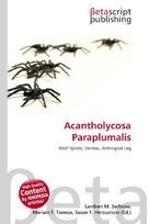 Acantholycosa Paraplumalis: Wolf Spider, Ventral, Arthropod Leg